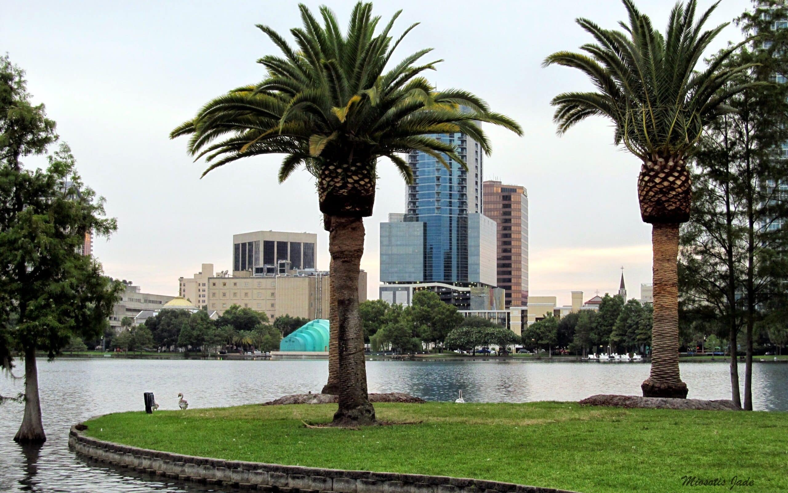 Best Neighborhoods in Orlando - Lake Eola Park Orlando Fl 06 edited scaled