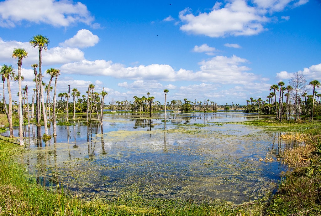 Best Neighborhoods in Orlando - wetlands park