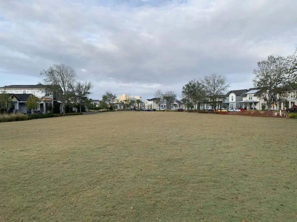Best Neighborhoods in Orlando - CocoLuna Park