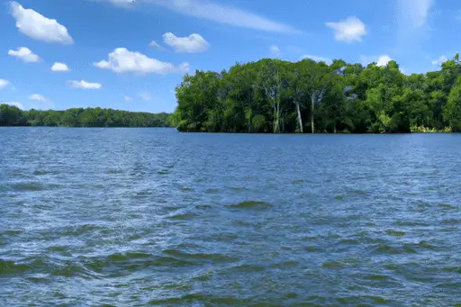Lake-Cherokee-Summer