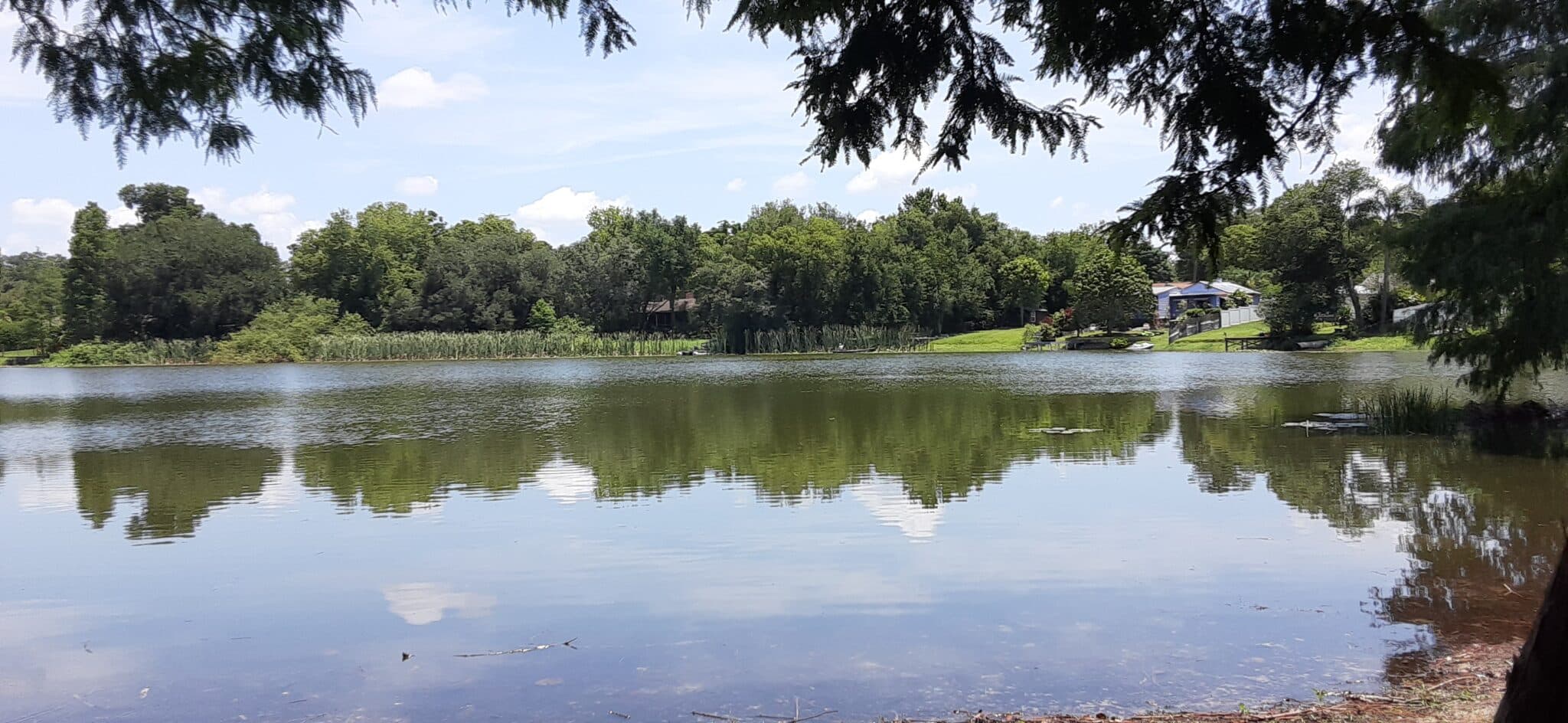 Wedgewood Groves Orlando FL | Best Neighborhoods In Orlando